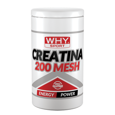 Why Sport Creatine 500g