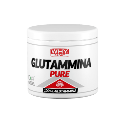 WHY SPORT GLUTAMINE 250g