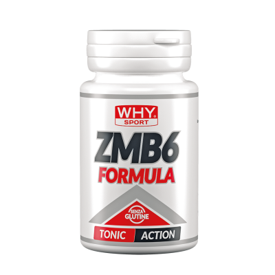 Why Sport ZMB6 Formula 90caps
