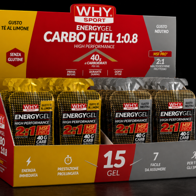 WHY SPORT ENERGY GEL 2:1 (55ml) BOX BY 15