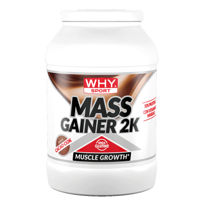 WHY SPORT MASS GAINER 2KG